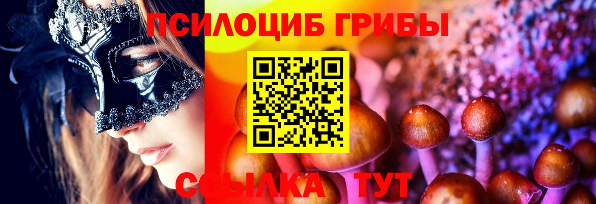 Богданович  Галлюциногенные грибы GOLDEN TEACHER  где купить наркотик  Вход с VPN  Псилоцибиновые грибы Psilocybe 