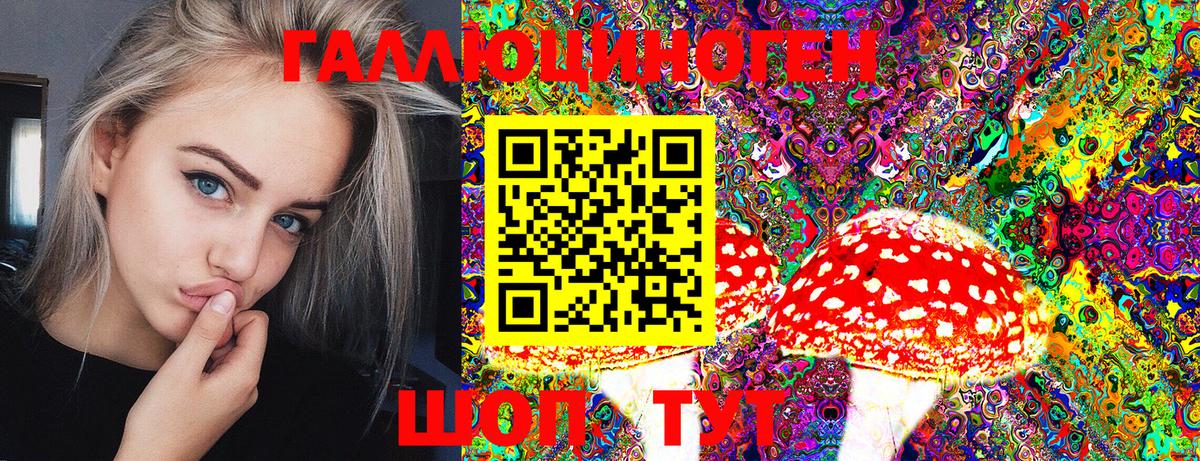 Псилоцибиновые грибы ЛСД Богданович