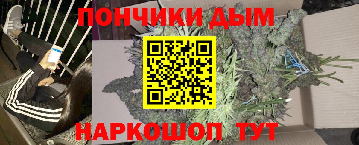 Бошки марихуана гибрид Богданович